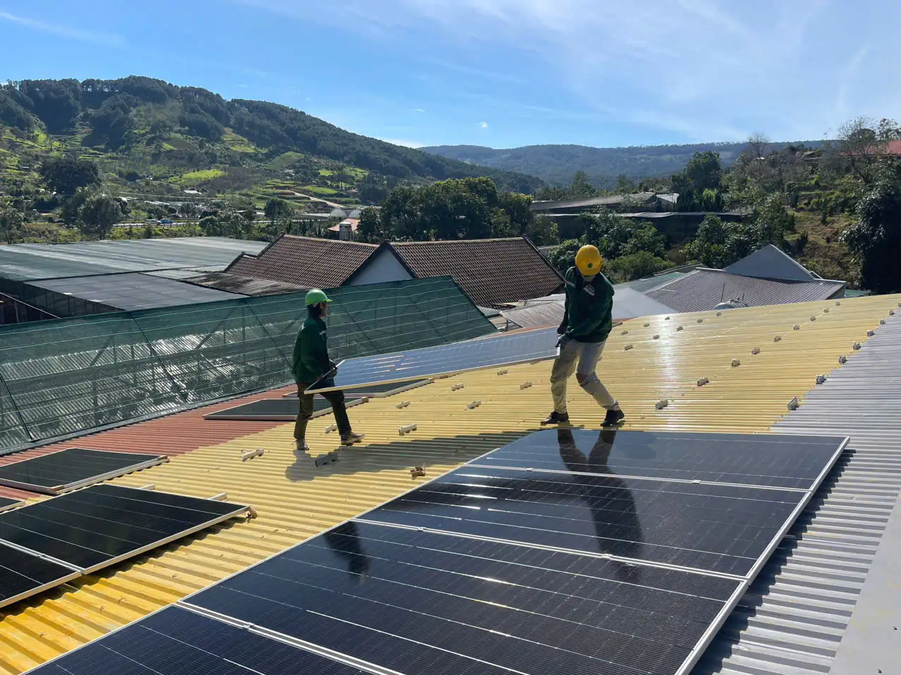 z7404052351795 df0fa19934c0044c27f85ffda20d7526